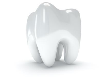 A model of a healthy teeth in Van Nuys, CA